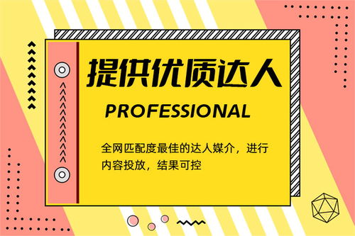 四川区域小红书品牌运营与市场营销策划费用解析