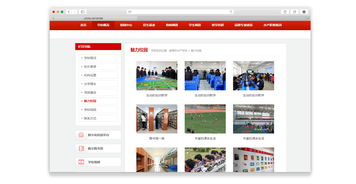 威海网络市场中的高校力量 从新兴市场营销谈学校发展战略